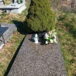Grób na który stoją znicze i wiązanka, w tle drzewo